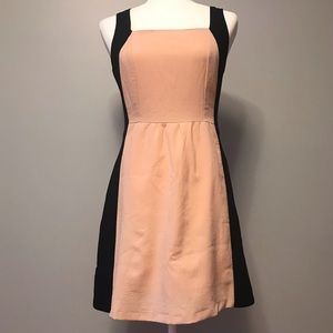 C. LUCE Color Block Dress 👗